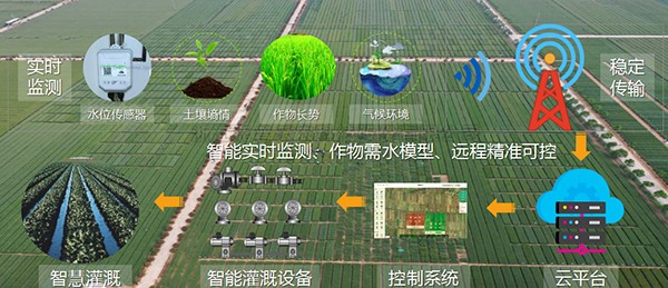 小优视频旧版：以現代種業標準，助力製種大縣建設任...